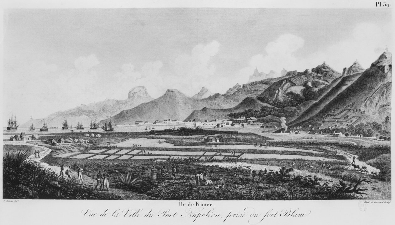 Island of France (Mauritius), utsikt over Port-Napoleon (bw-gravering) av Jacques Milbert