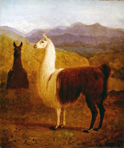 To lamaer (olje på lerret) av Jacques Laurent Agasse