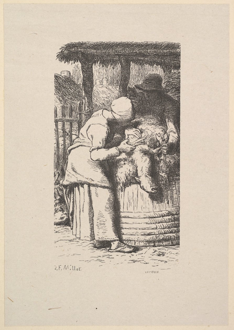Saueklipping, 1853. av Jacques Adrien Lavieille