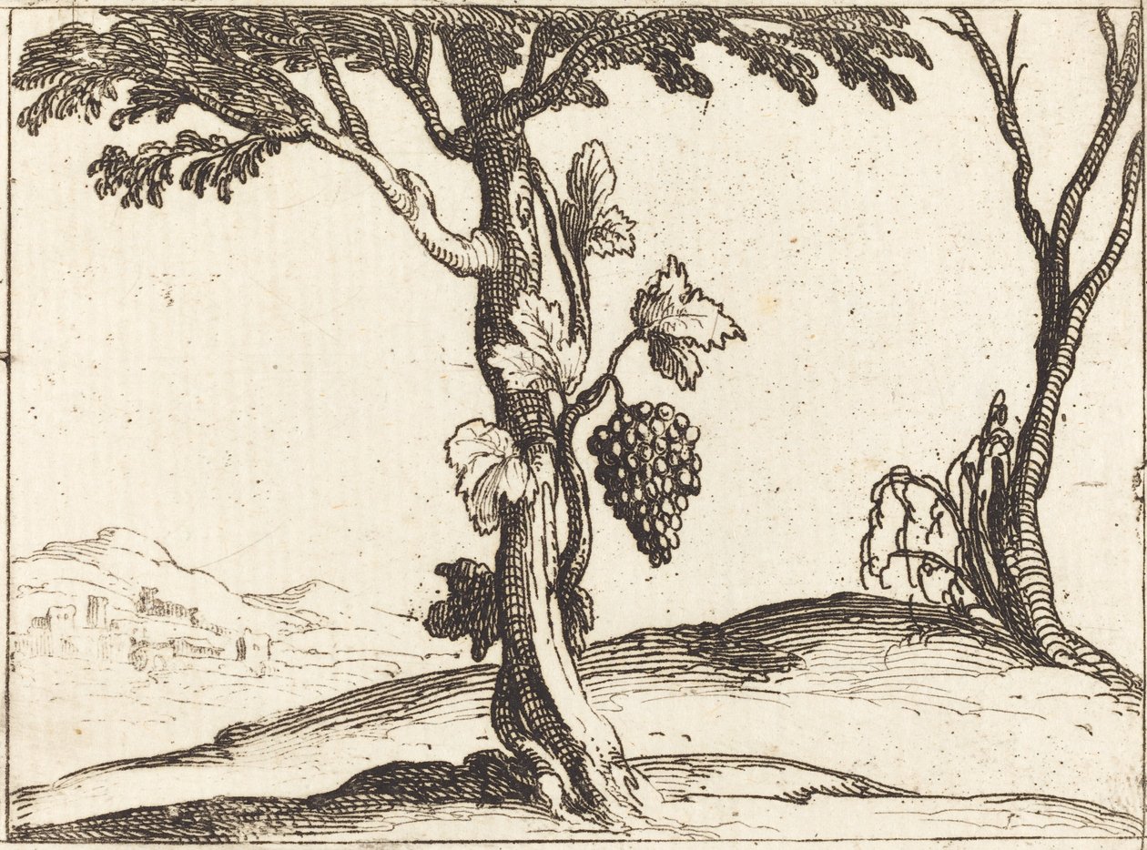 Klase med druer av Jacques Callot