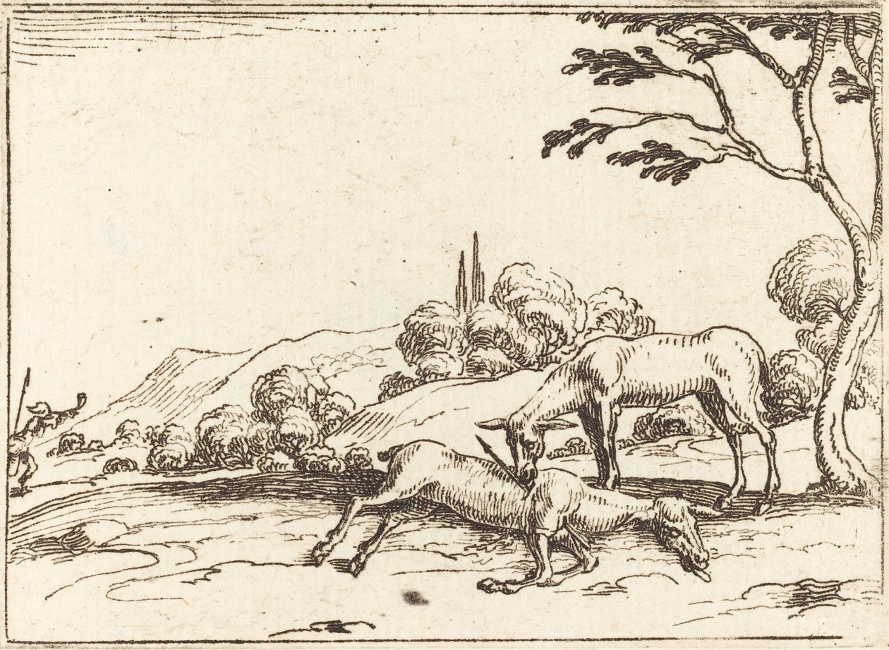 Doe sørger over føllet sitt. av Jacques Callot