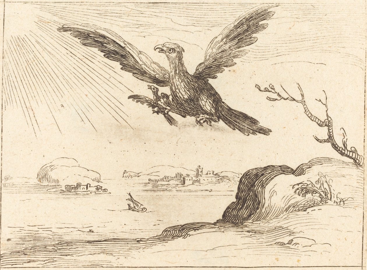 Eagle og Young av Jacques Callot