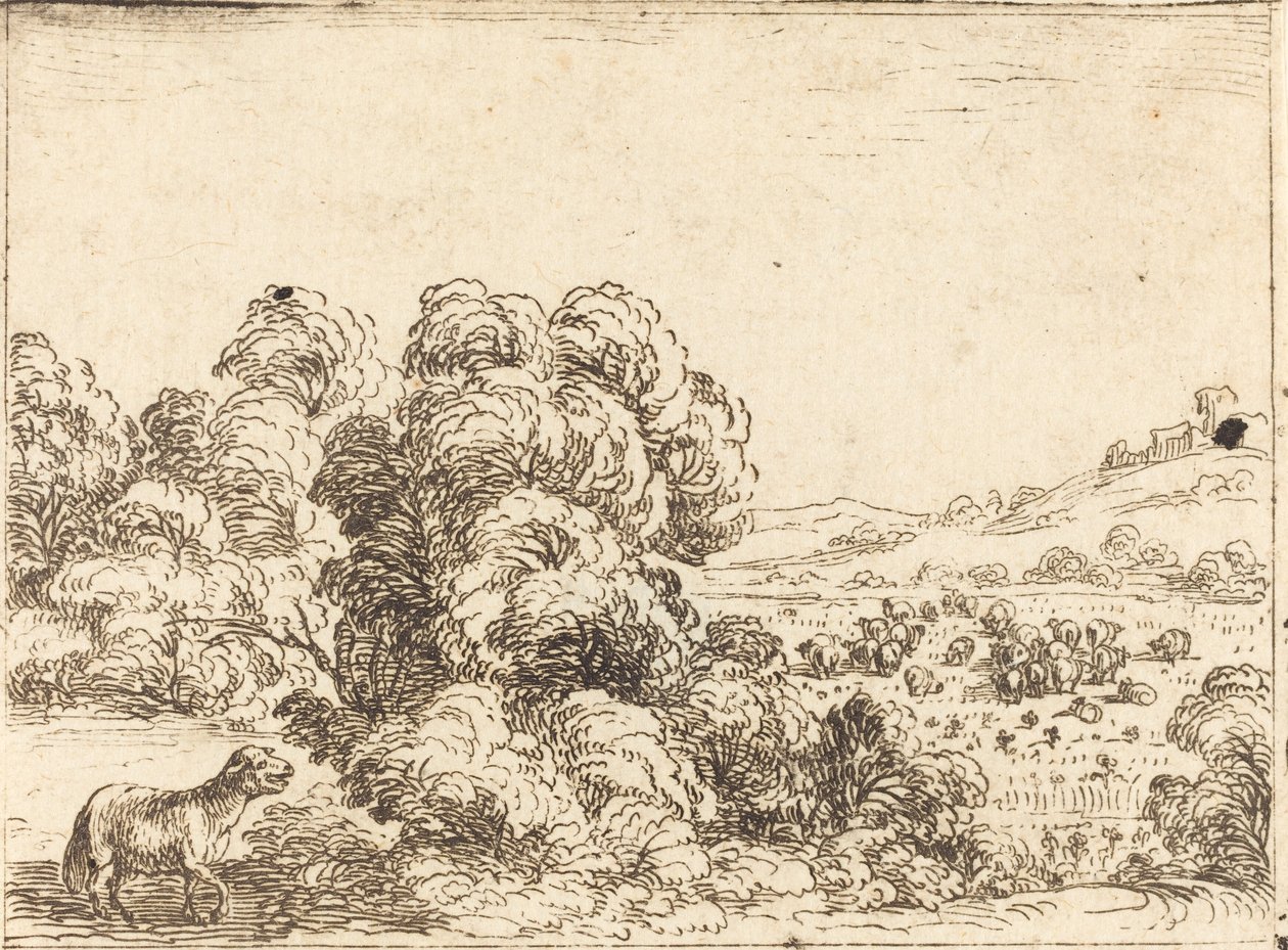 Sauen som kaller lam av Jacques Callot