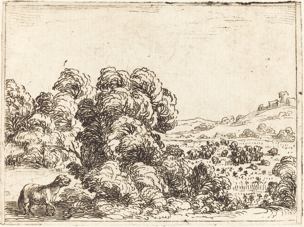 Sauen som kaller lam av Jacques Callot