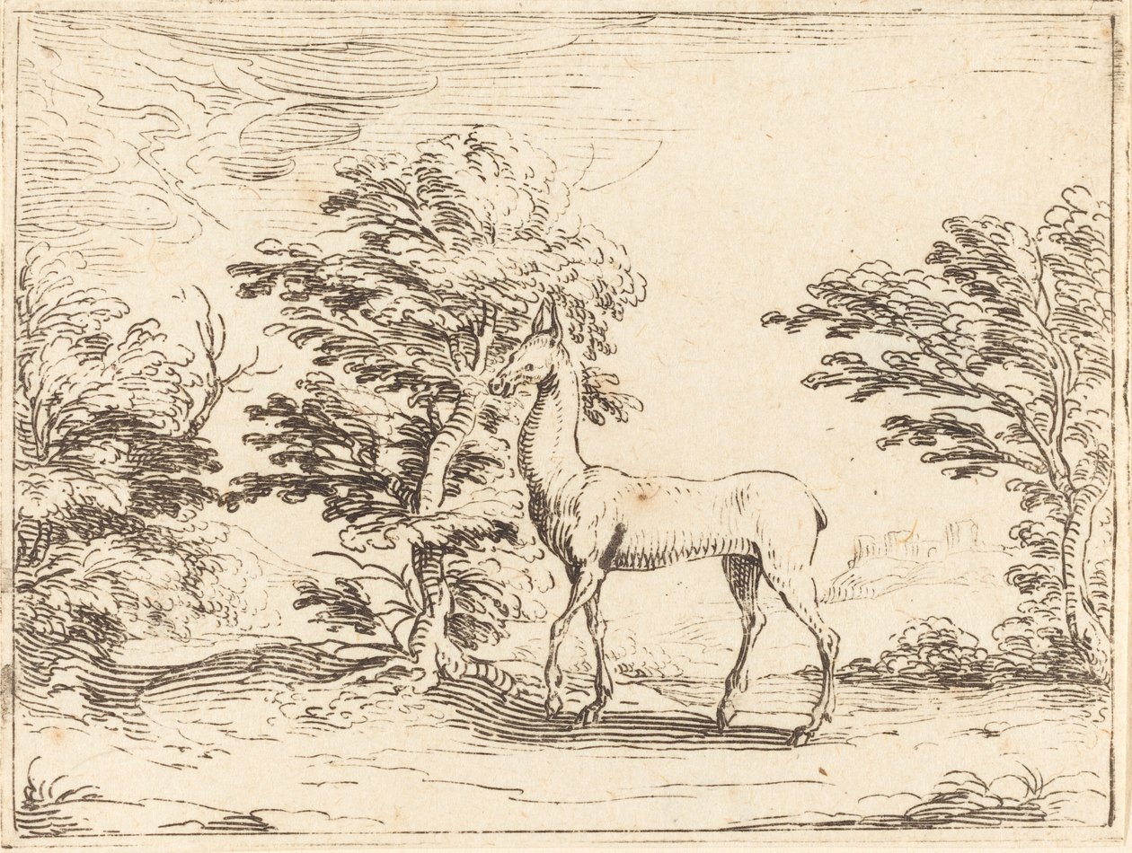 Doe. av Jacques Callot