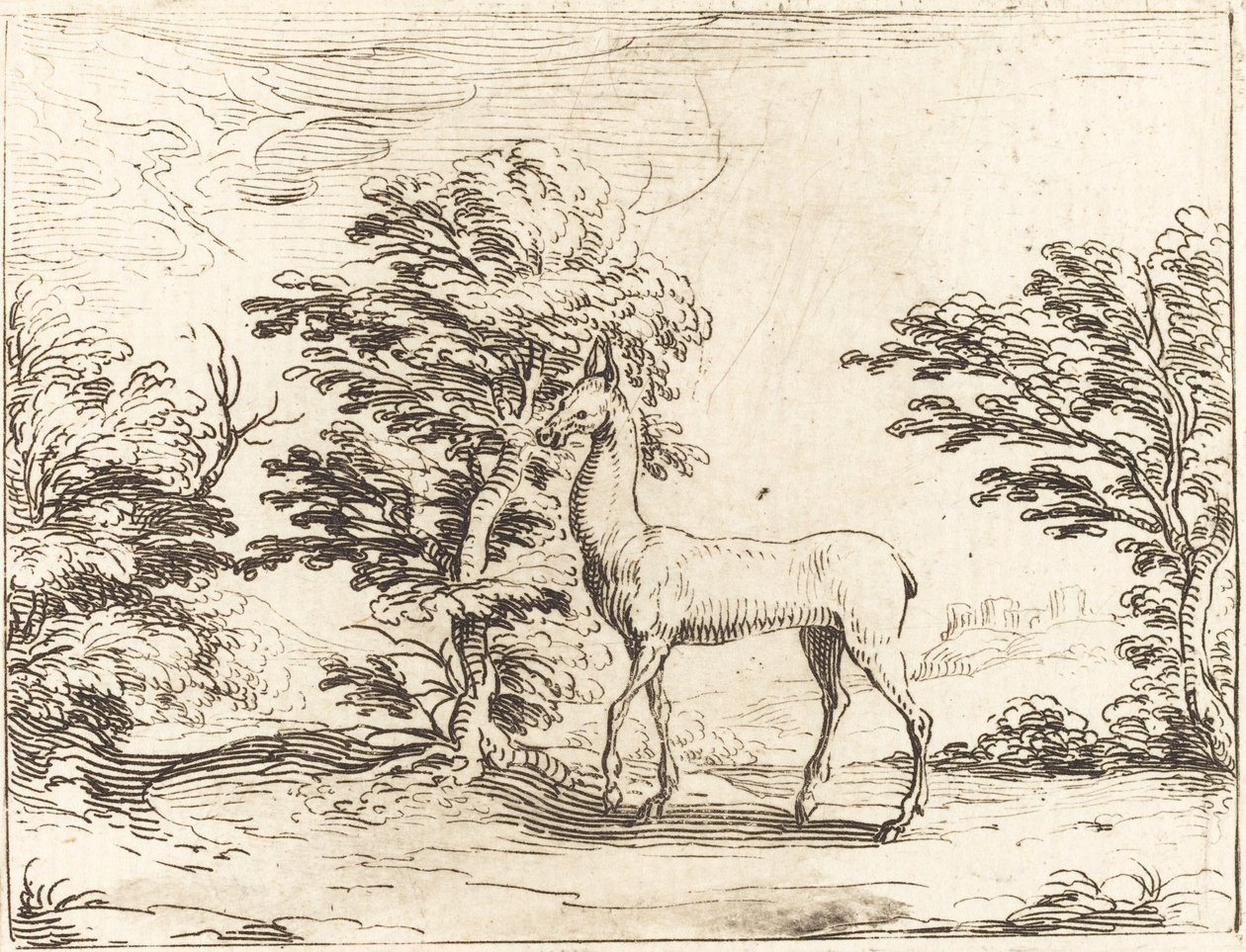Doe av Jacques Callot