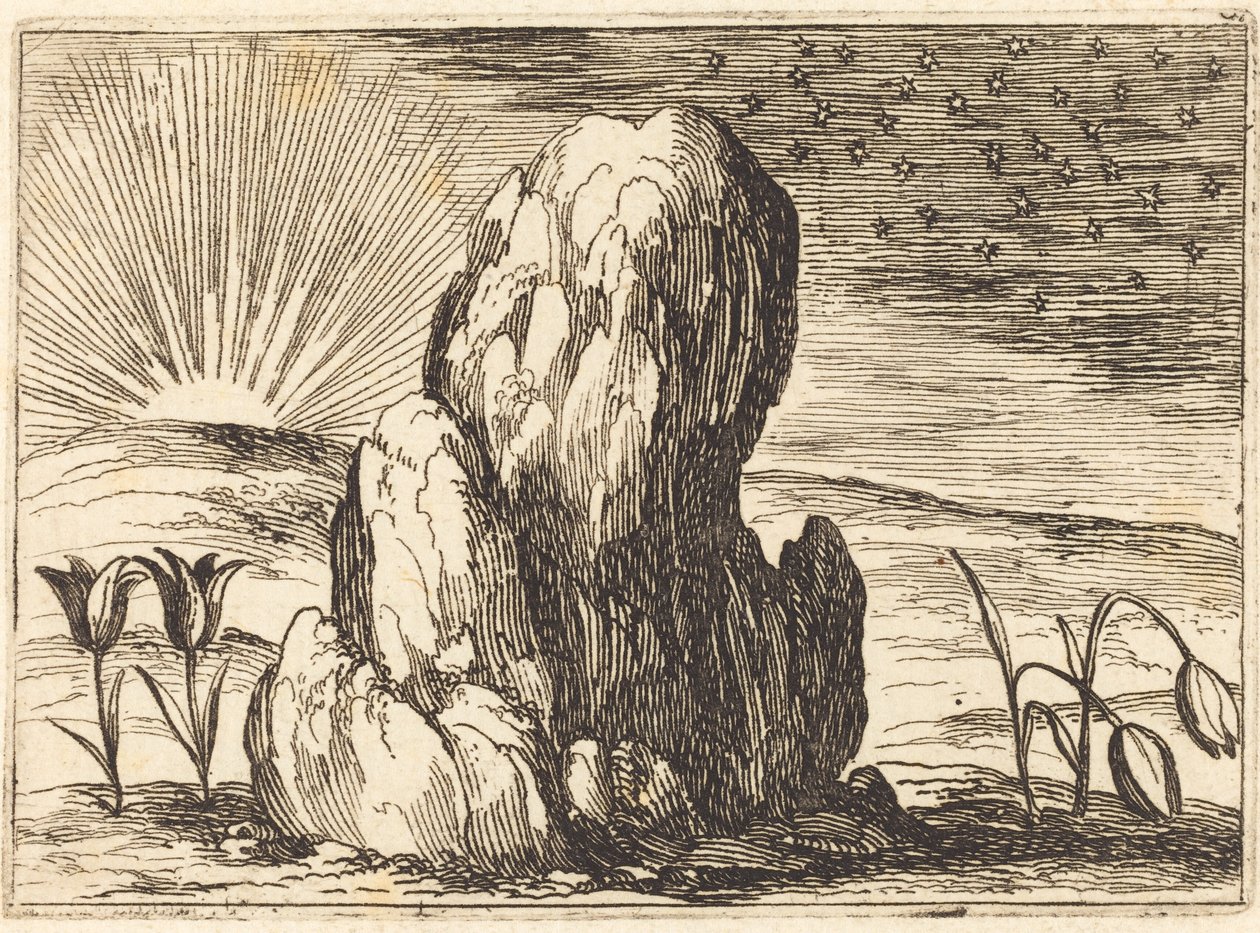Tulipanene og solen, 1628. av Jacques Callot
