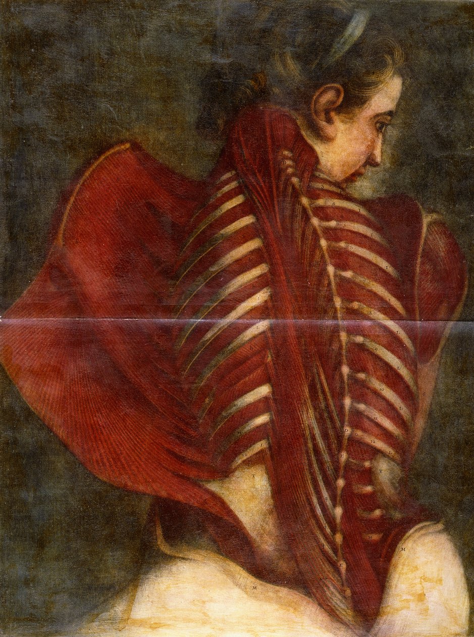 The Flayed Angel, ca. 1745 av Jacques Fabien Gautier dAgoty