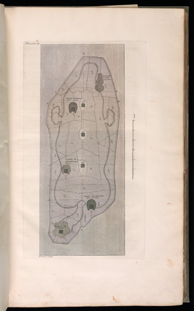 Innbundet trykk (Frankrike) av Jacques François Blondel