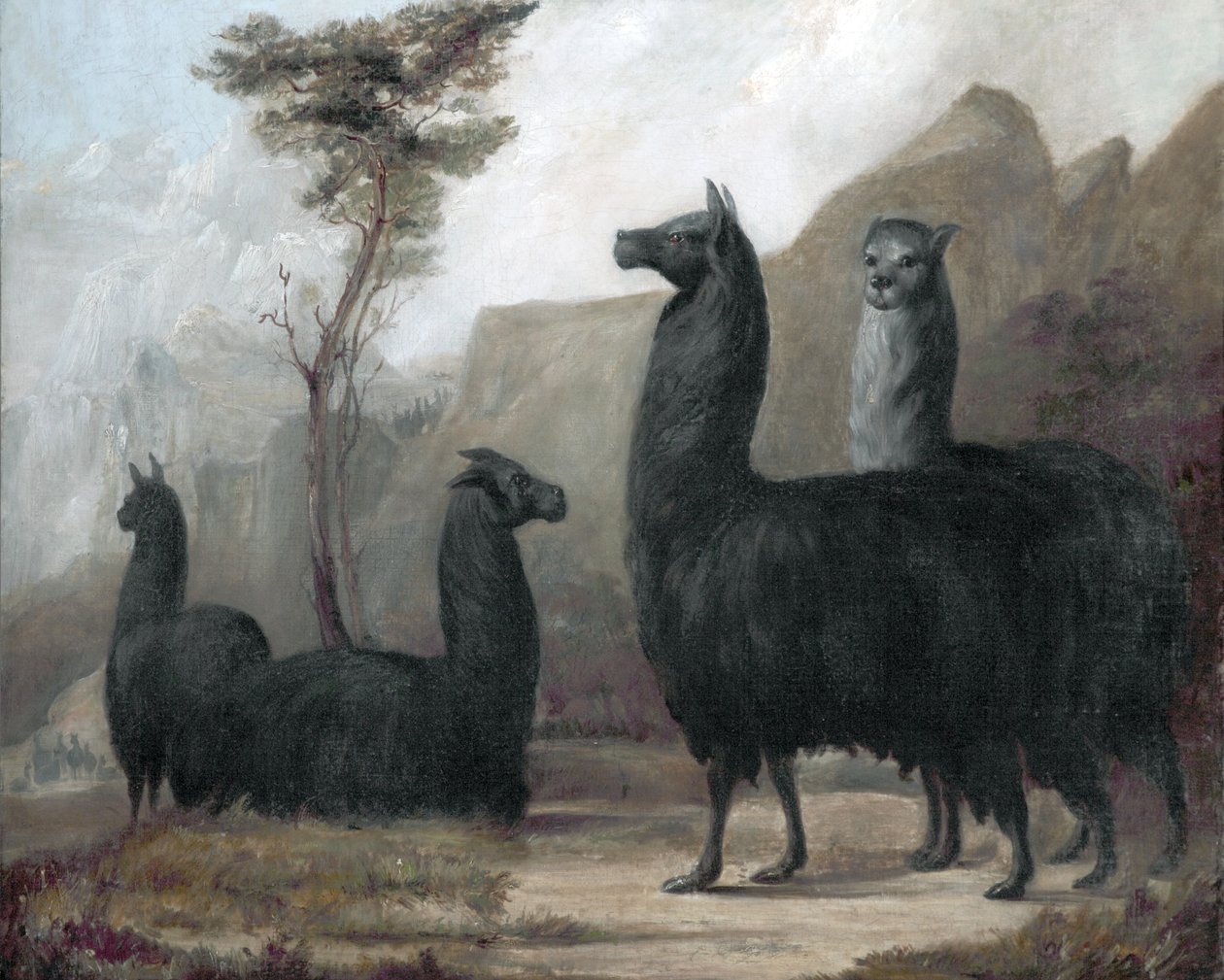 Alpakkaer av Jacques Laurent Agasse