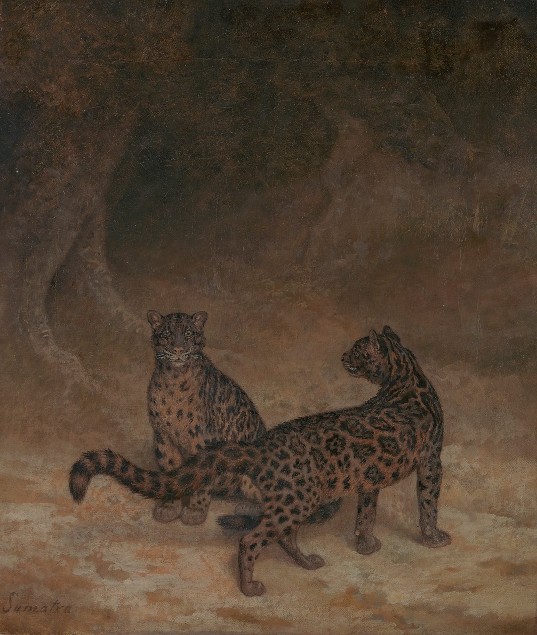 Skyede leoparder av Jacques Laurent Agasse