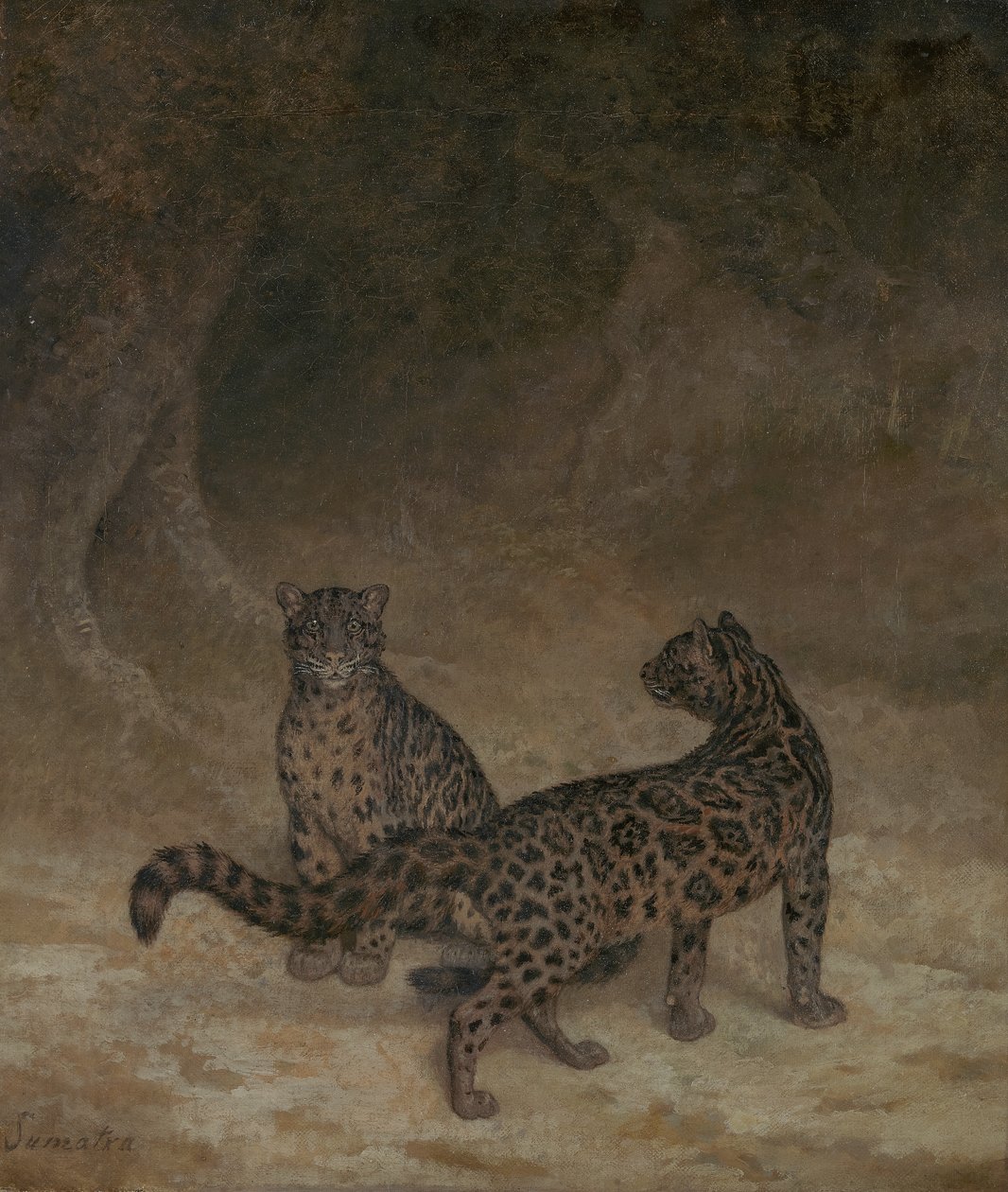 Skyede leoparder, ca. 1825 av Jacques Laurent Agasse
