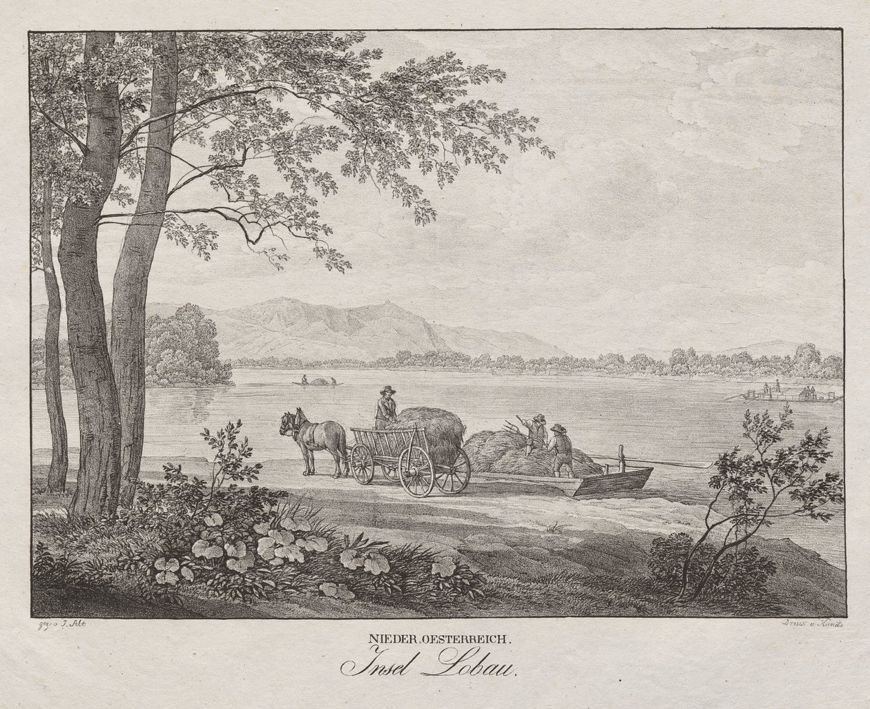 Nedre Østerrike, Lobau Island av Jakob Alt