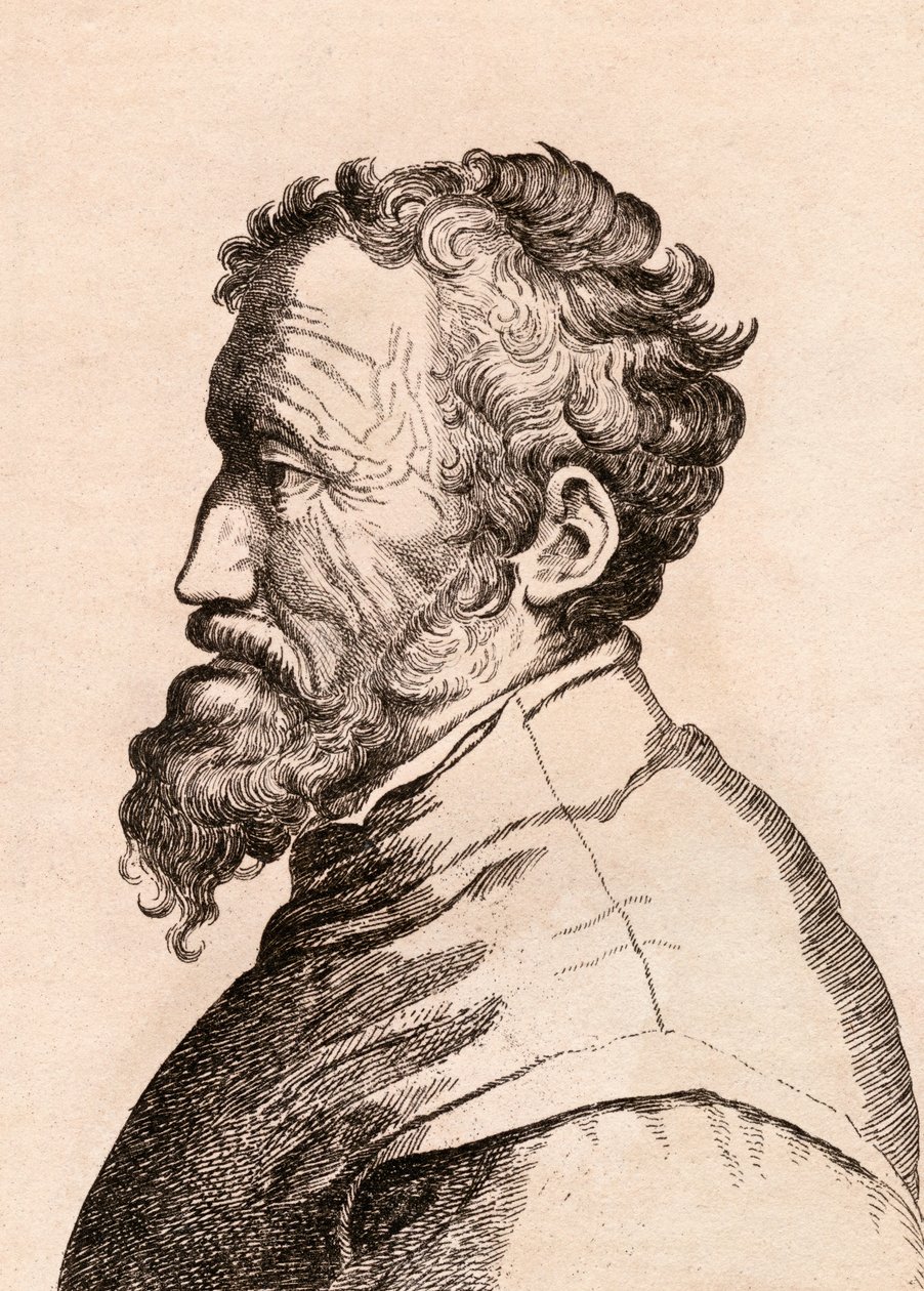 Michelangelo di Lodovico Buonarroti Simoni, illustrasjon fra 