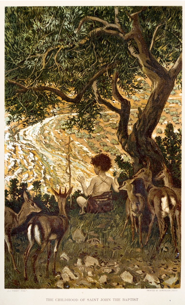 Barndommen til døperen Johannes - Bibelen av James Jacques Joseph after Tissot
