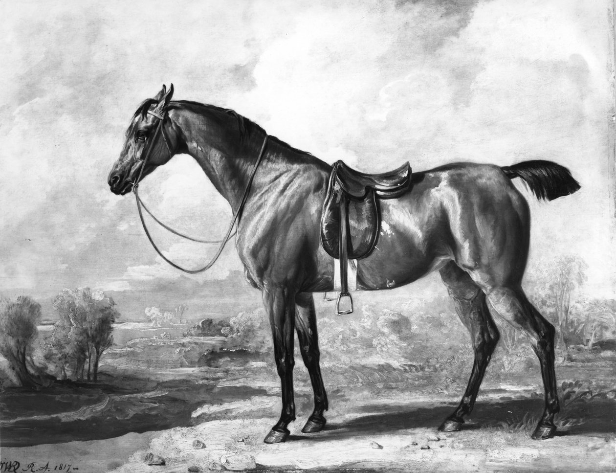 Bay Hunter av James Ward