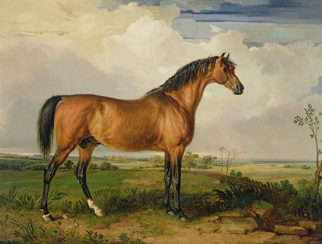 Eagle, en feiret hingst av James Ward