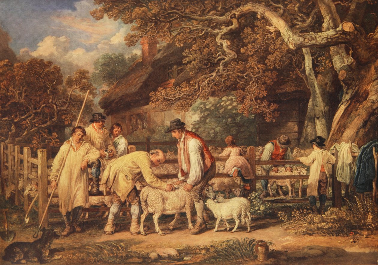 Saueklipping, ca. 1820 (farge litho) av James (after) Ward