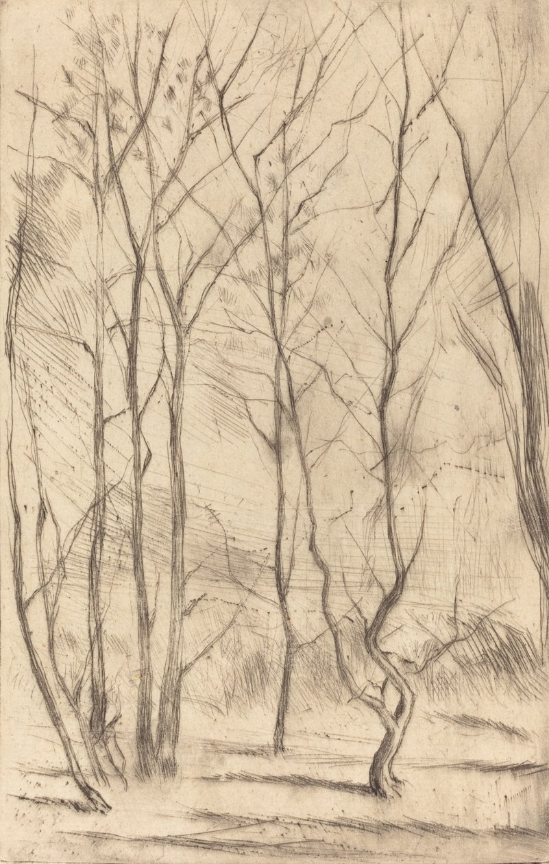The Dam Wood, 1875. av James Abbott McNeill Whistler