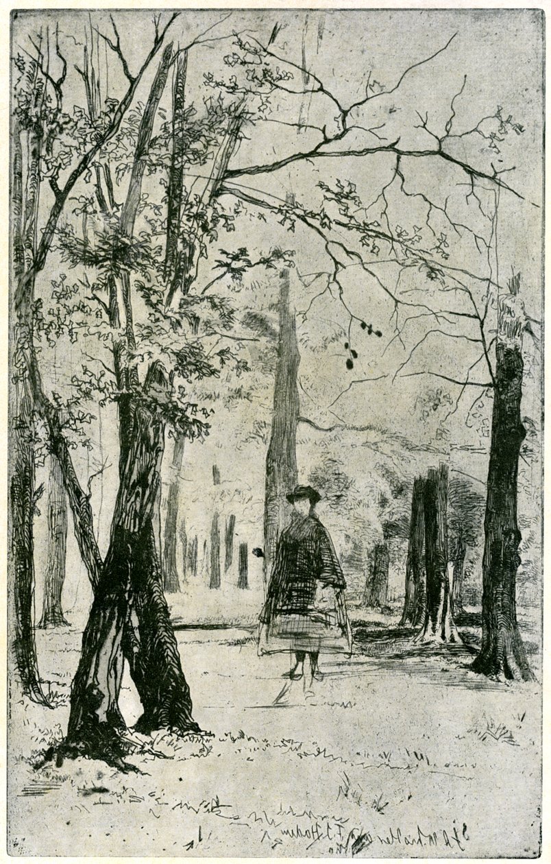The Wood, 1800-tallet 1904. av James Abbott McNeill Whistler