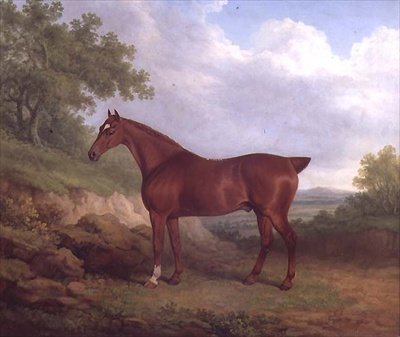 A Chestnut Thoroughbred (olje på lerret) av James Barenger