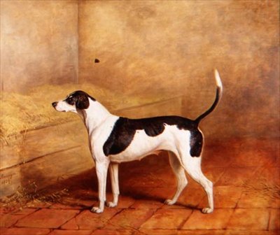 Hound 