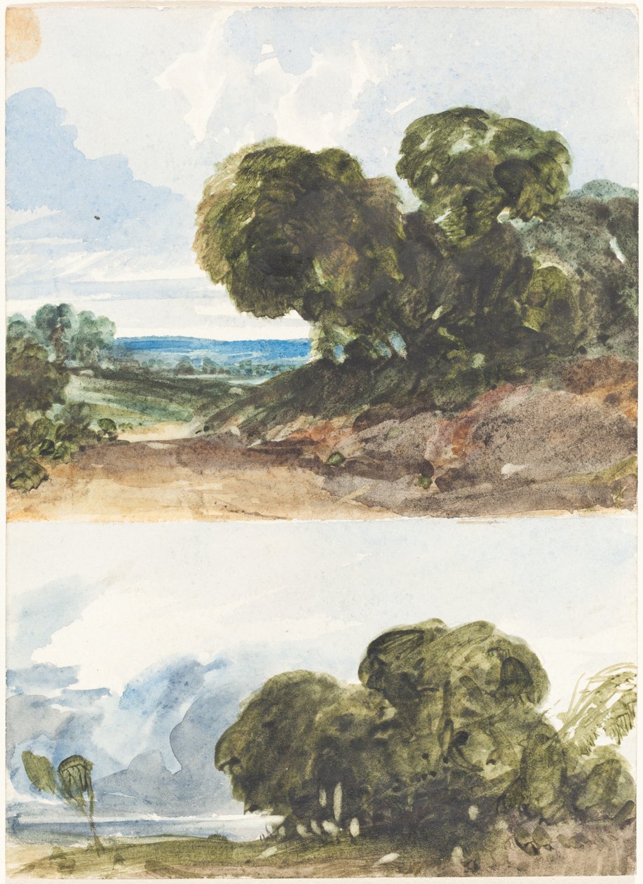 To skisser av trær. av James Bulwer