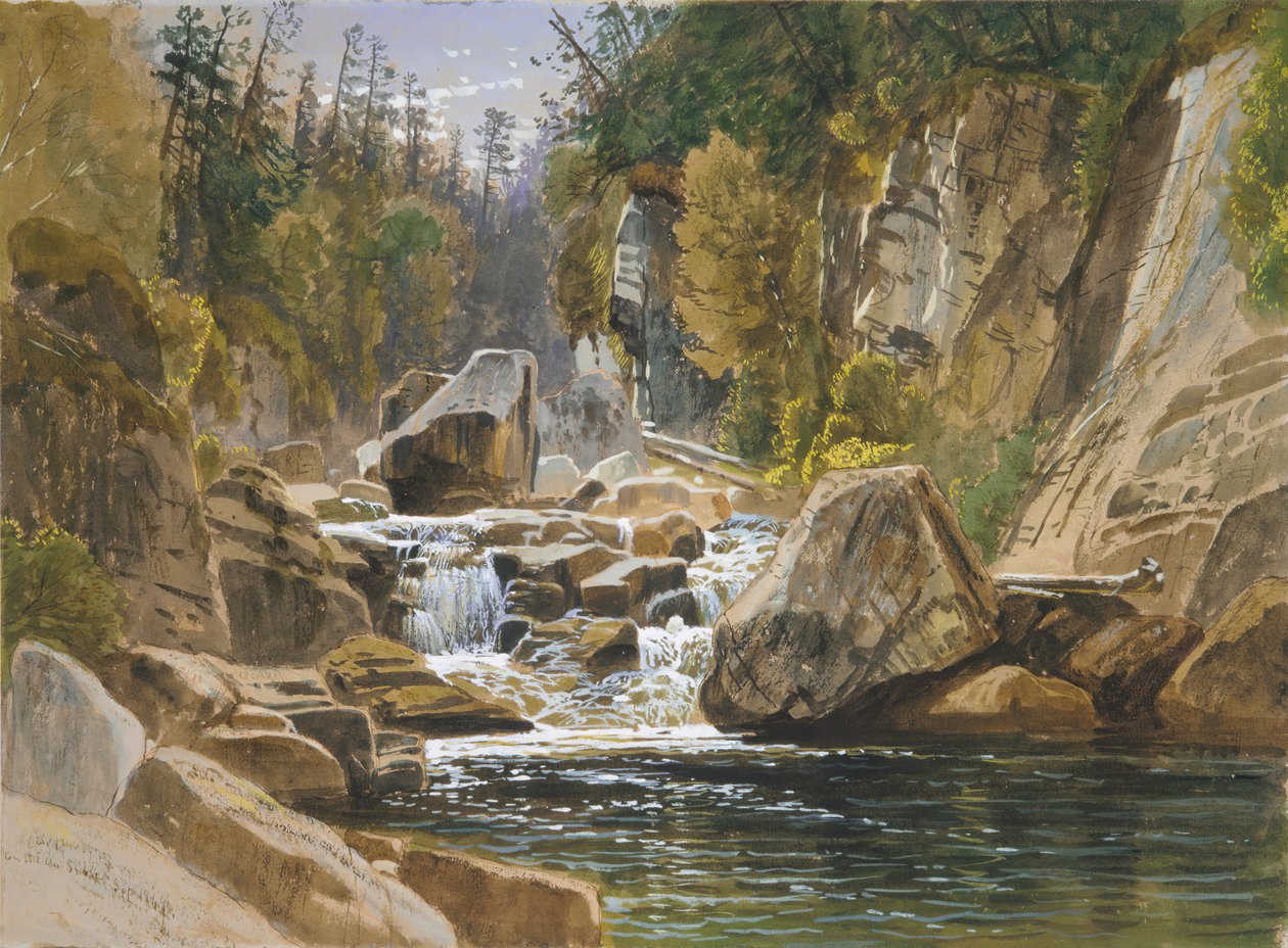 På Ausable, 1869. av James David Smillie