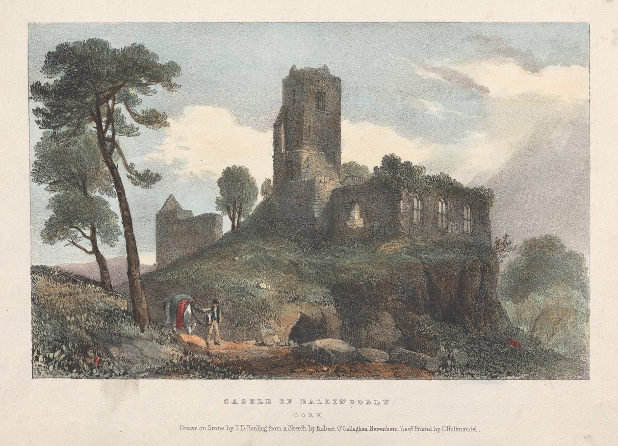 Castle of Ballincolly av James Duffield Harding