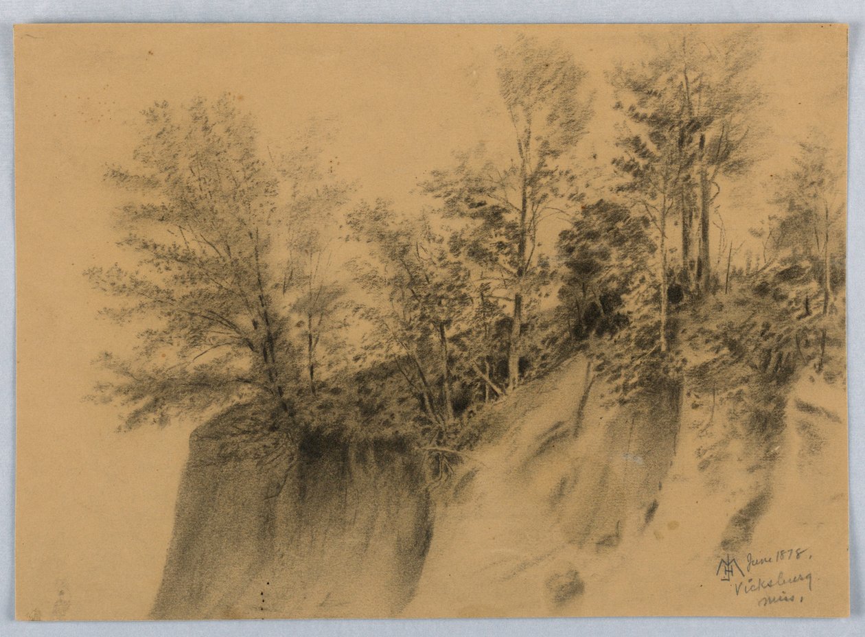 Cliff and Trees, Vicksburg, Miss. av James Henry Moser