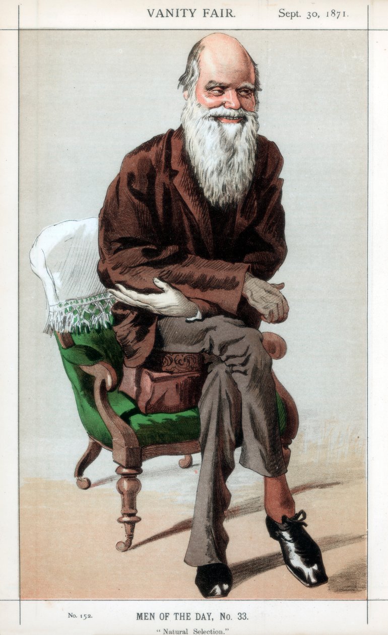 Naturlig utvalg, 1871. av James Jacques Joseph Tissot