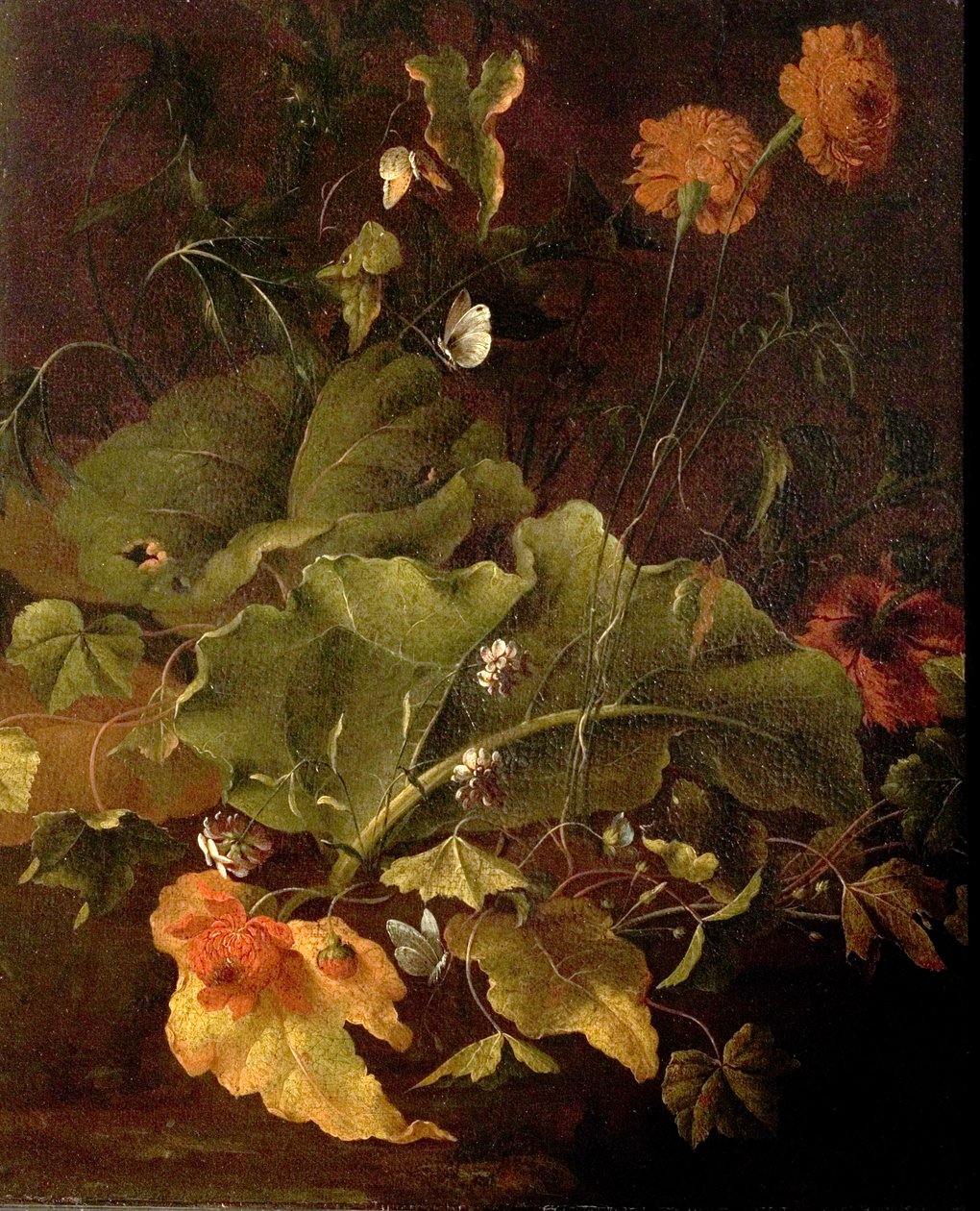 Dockblader og andre blomster, ca. 1820 av James Sillett