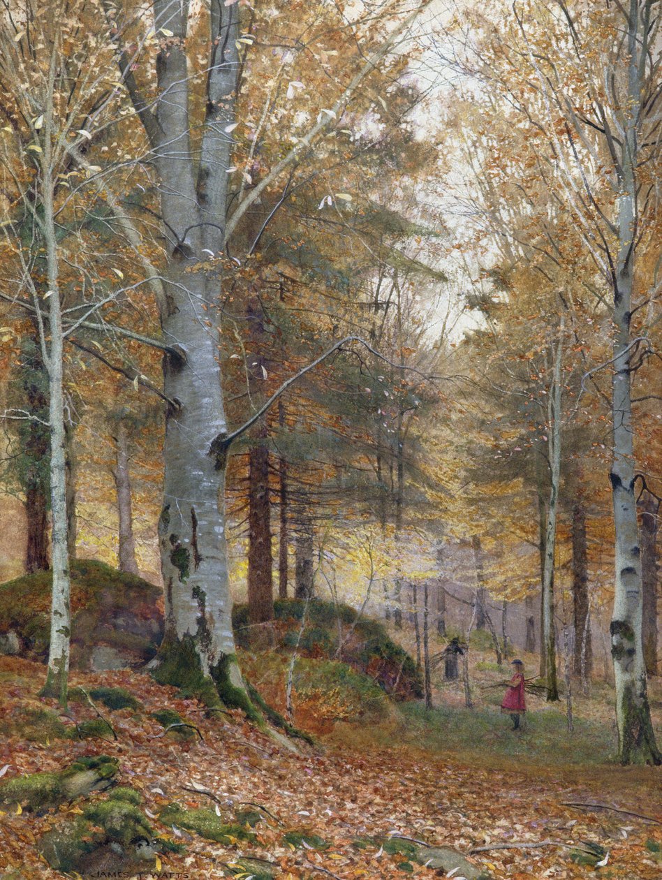 Høst i skogen av James Thomas Watts