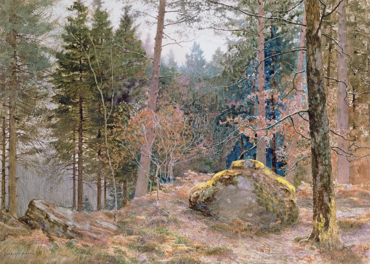 I en walisisk skog, vinter av James Thomas Watts