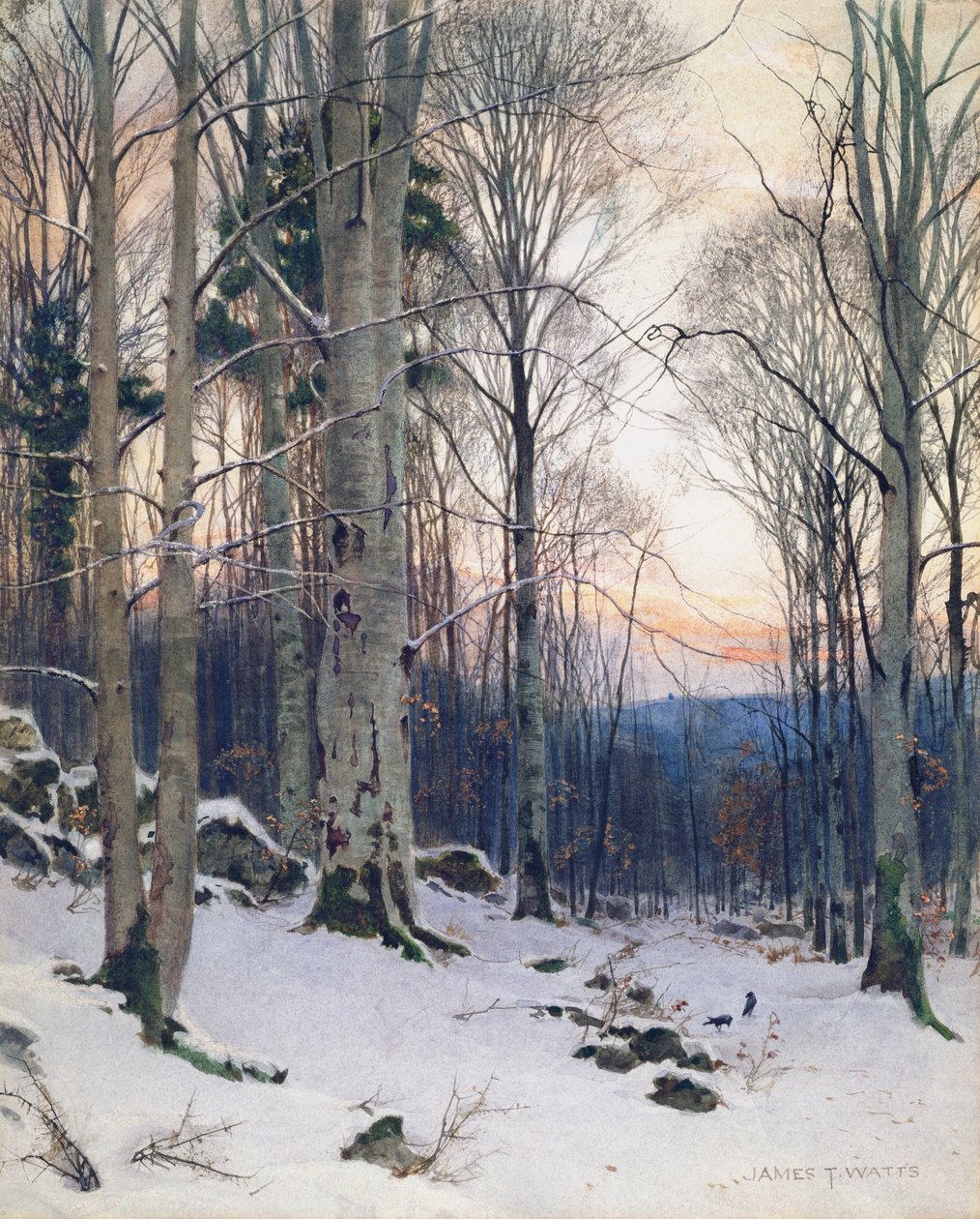 Twilight, Beech Woods (wc) av James Thomas Watts