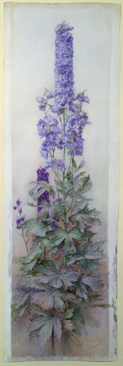 Delphiniums av James Valentine Jelley