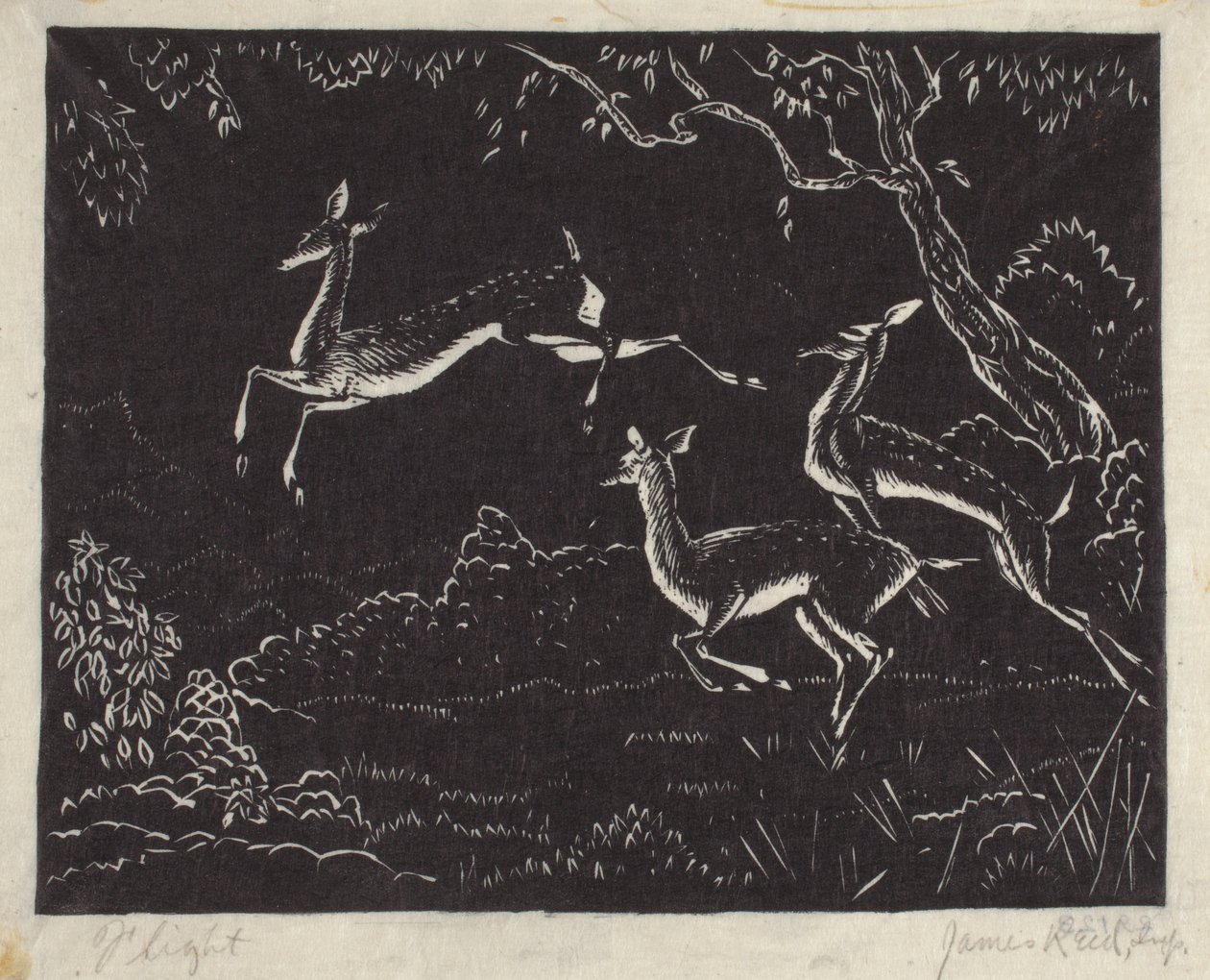 Flight (treblokktrykk) av James W. Reid