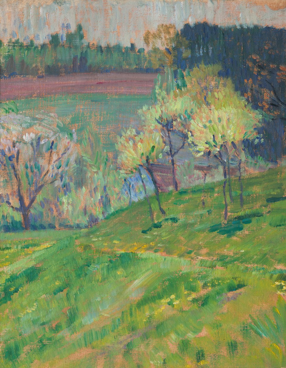 Blomstrende hage av Jan Preisler