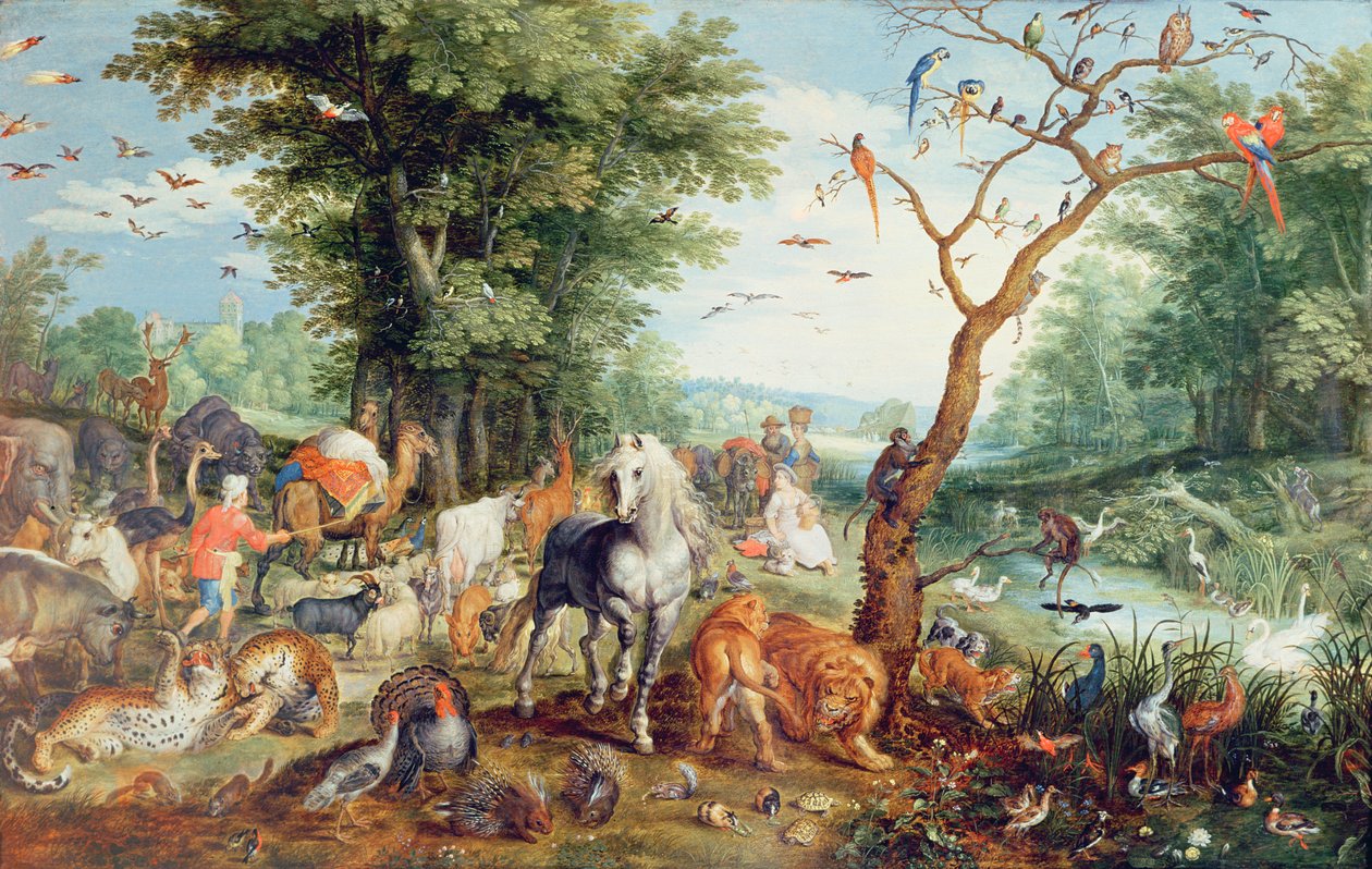 Noahs ark av Jan Snellinck