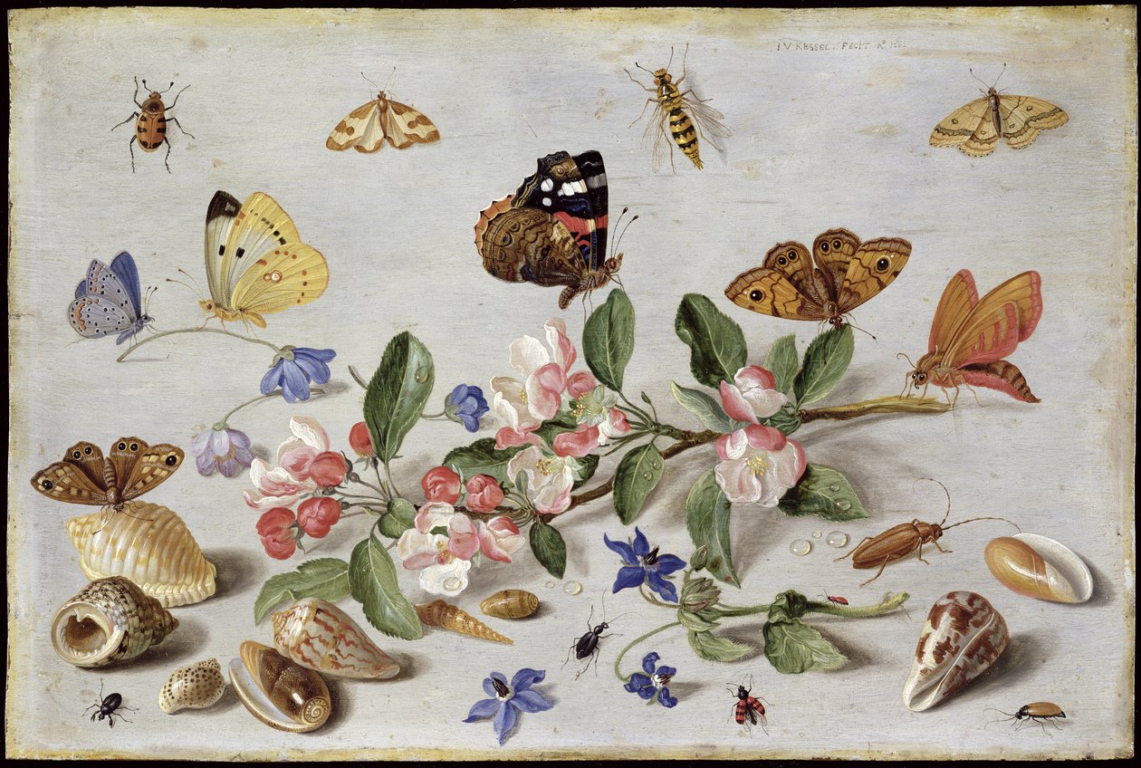 Insekter (olje på kobber) av Jan van Kessel the Elder