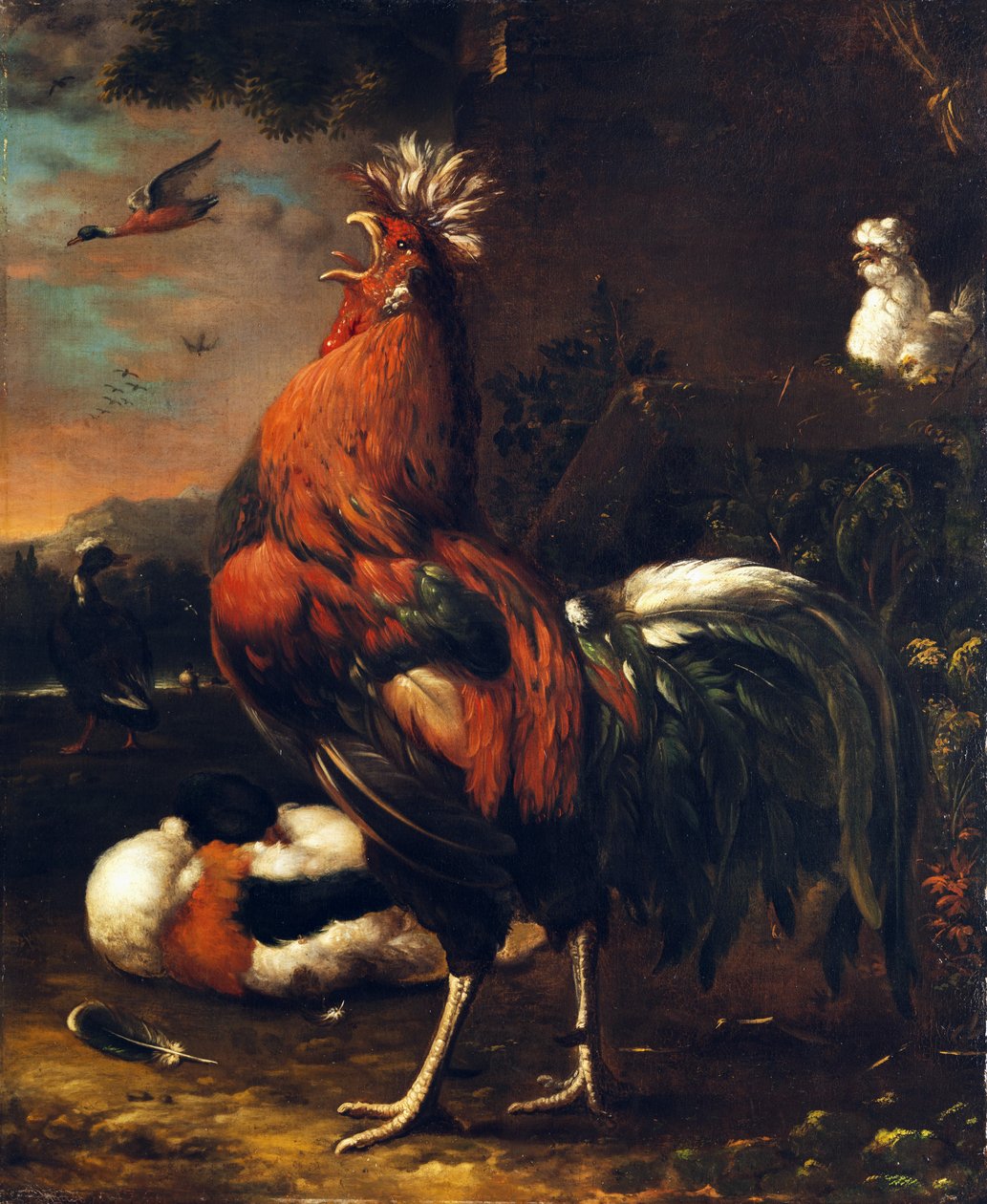 Stolt hane av Jan van Oolen