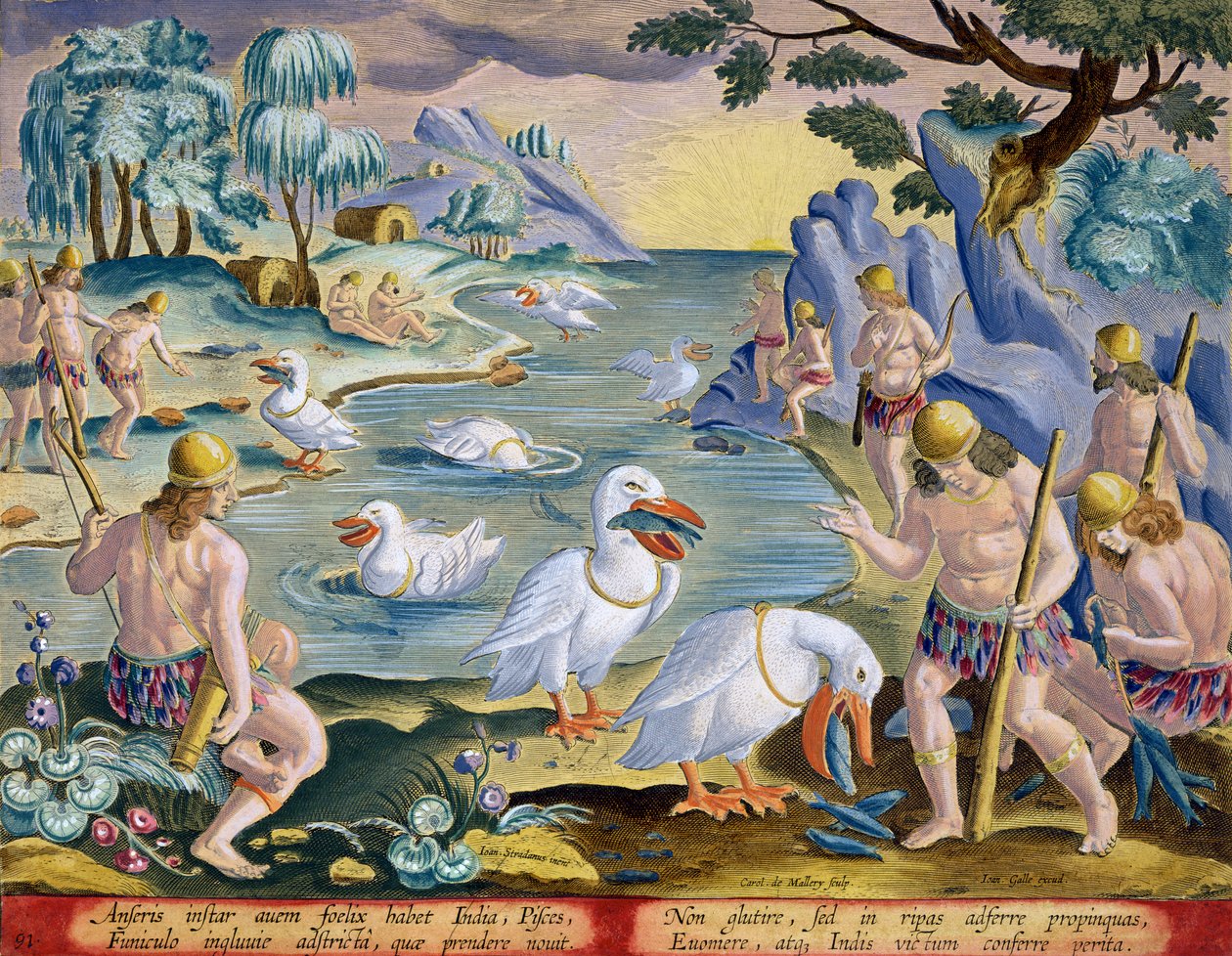 Semi-nakne Savages of India Using Pelicans to Catch Fish, plate 91 fra 'Venationes Ferarum, Avium, Piscium' (Of Hunting: Wild Beasts, Birds, Fish) gravert av Jan Collaert (1566-1628) utgitt av Ph. av Jan van der Straet