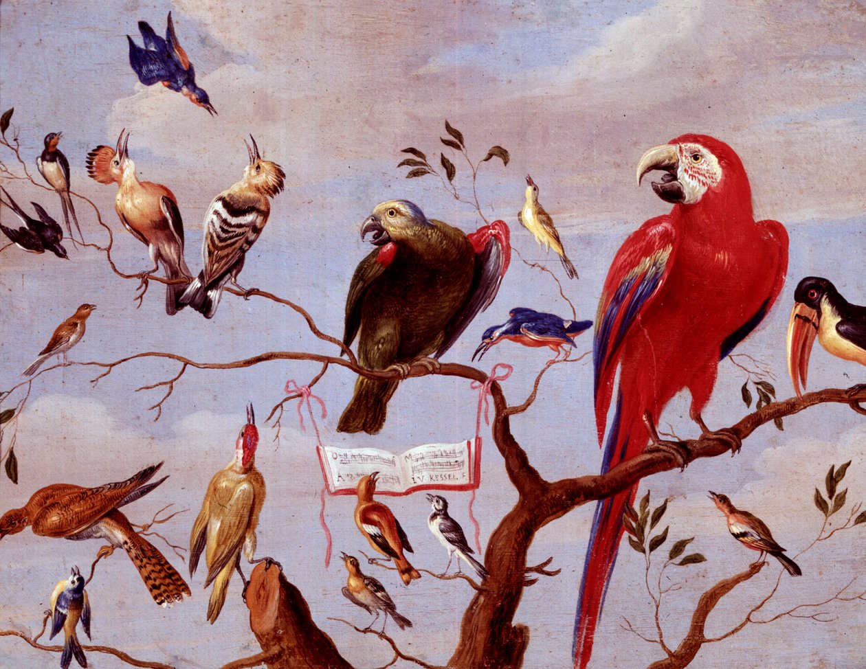 A Chorus of Birds, ca. 1650-1675 (olje på metall) av Jan van Kessel the Elder
