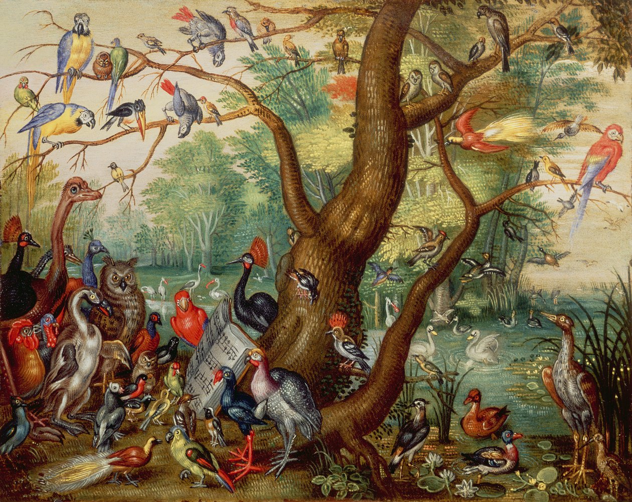 Concert of Birds (olje på kobber) av Jan van Kessel the Elder