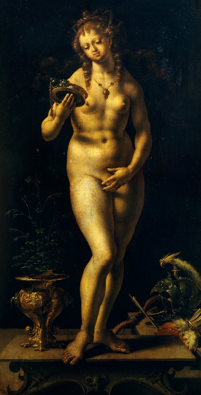Venus (olje på panel) av Jan (c.1472 c.1533) Gossaert