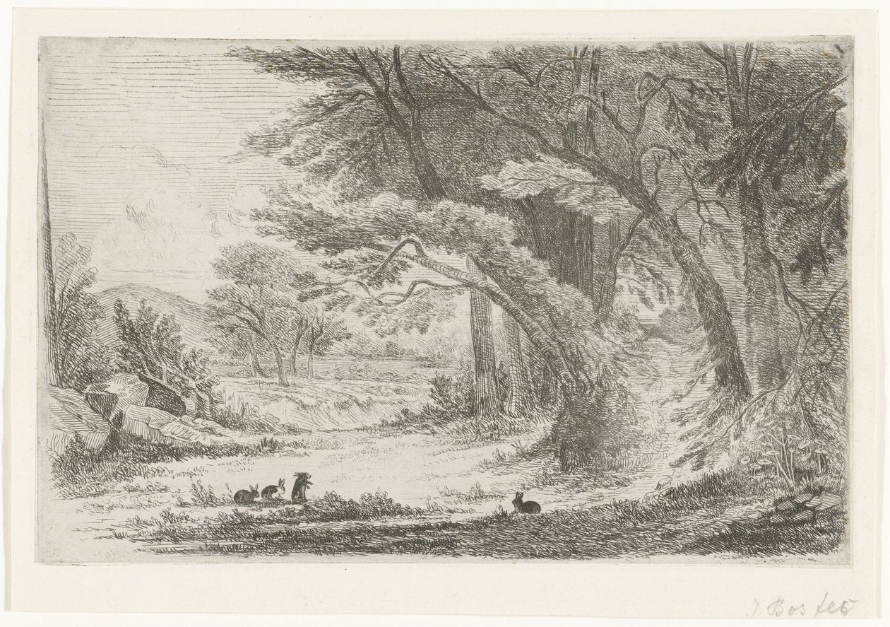 Skogkant med kaniner av Jan Bos Wz. (signed by artist)