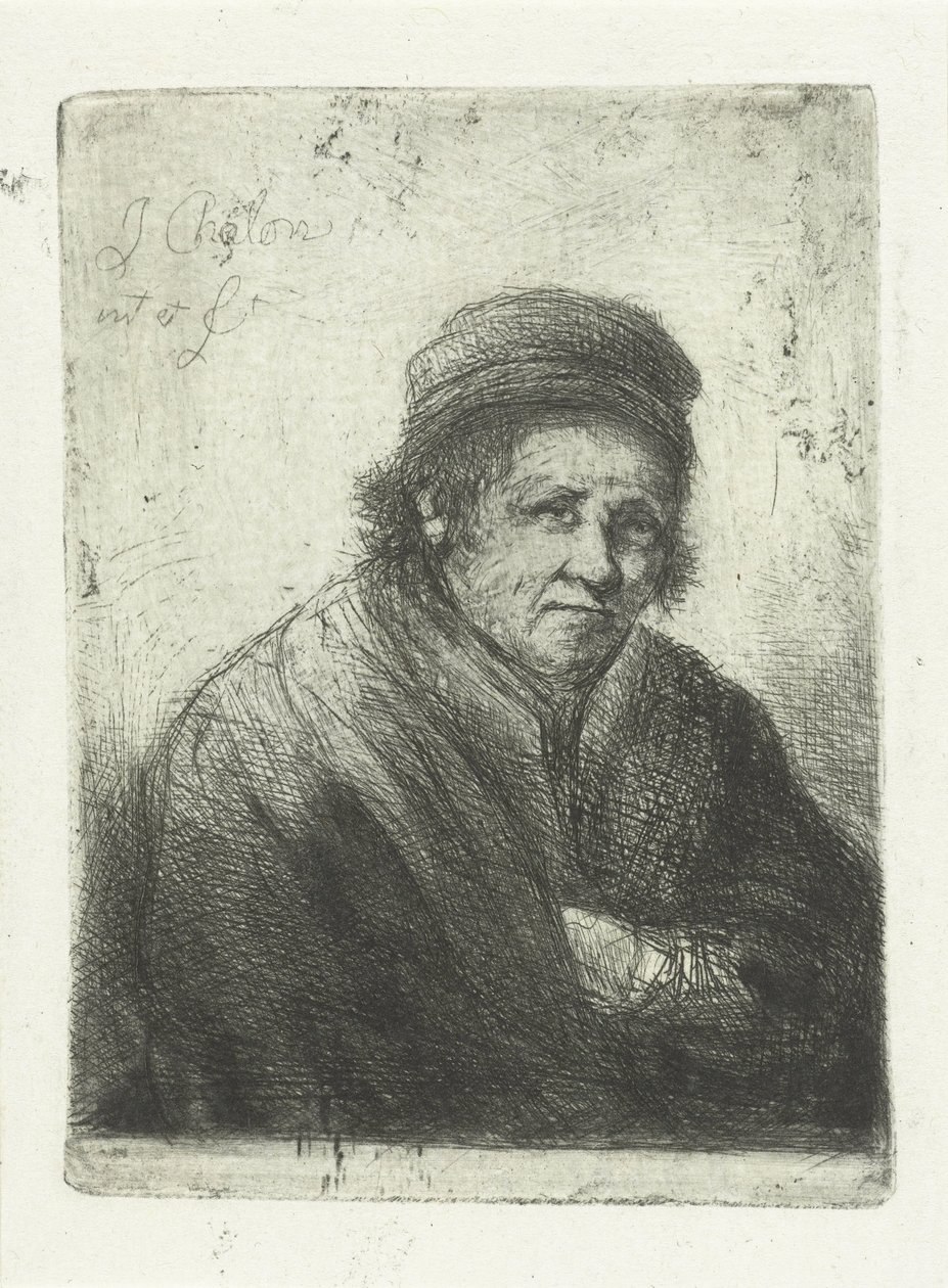 moden mann av Jan Chalon