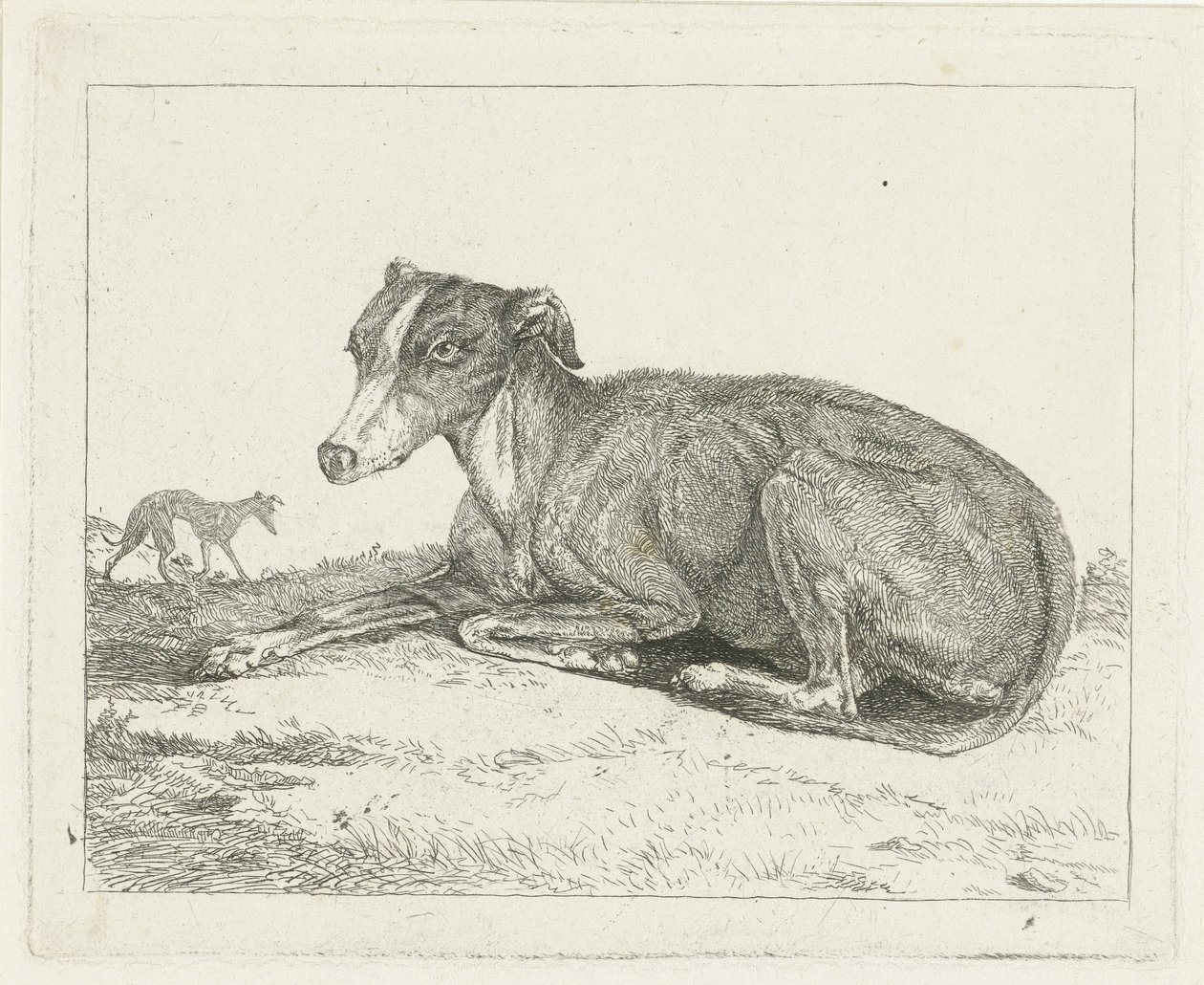 mynder av Jan Dasveldt
