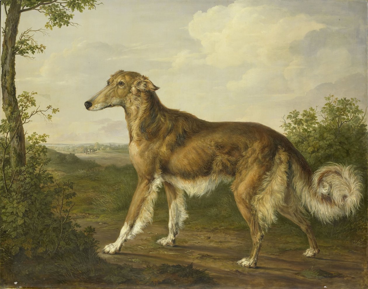 Sibirsk greyhound av Jan Dasveldt