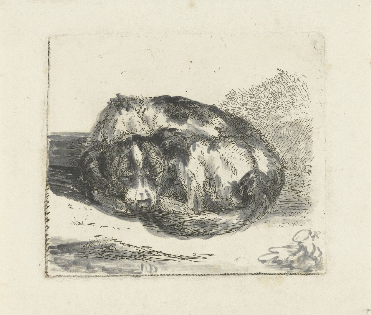 sovende hund av Jan Dasveldt